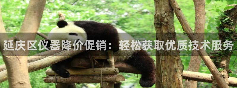 云顶新网站：延庆区仪器降价促销：轻松获取优质技术服务