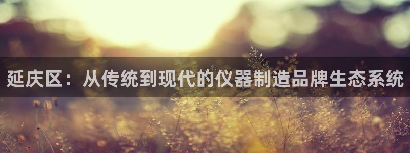 云顶yy：延庆区：从传统到现代的仪器制造品牌生态系统