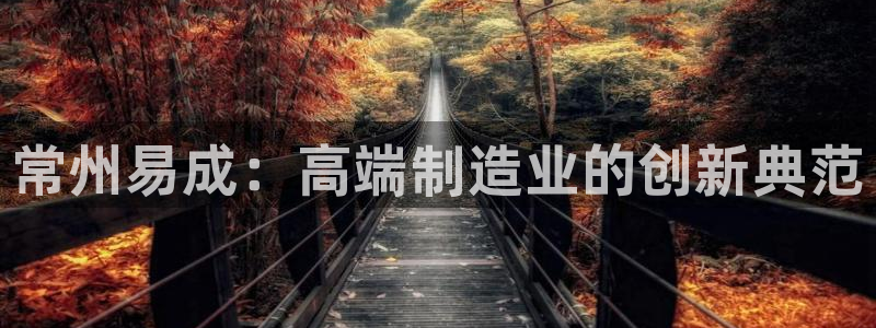 云顶国际城手机网址查询：常州易成：高端制造业的创新典范