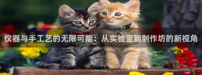 云顶国际平台是黑平台吗知乎