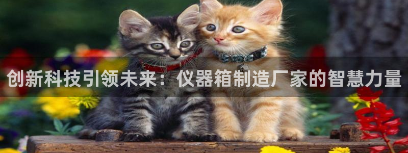 云顶电子游戏app：创新科技引领未来：仪器箱制造厂家的智慧力