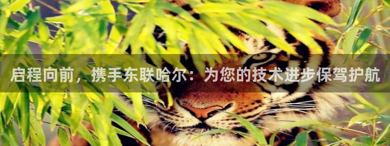 云顶国际app手机版