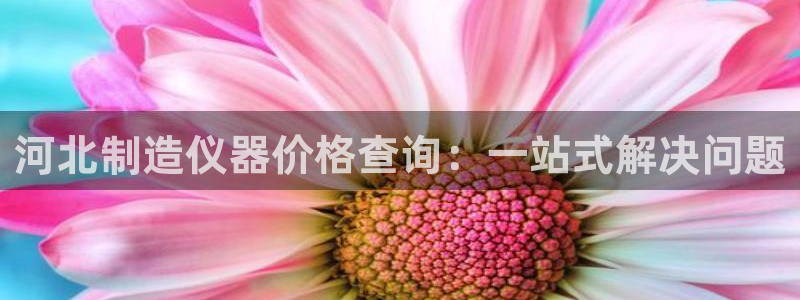 云顶集团市值