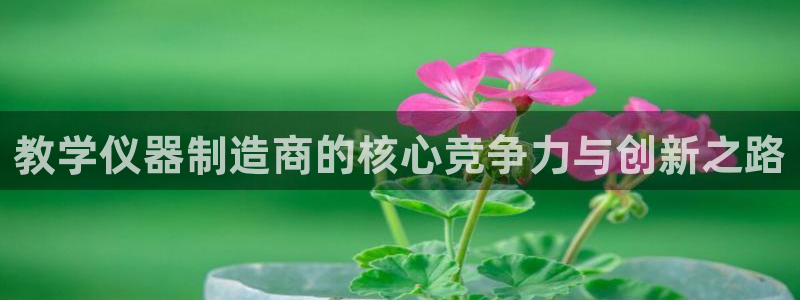 云顶国际集团 深圳