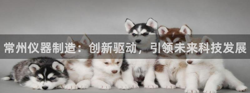 禹州云顶国际二手房