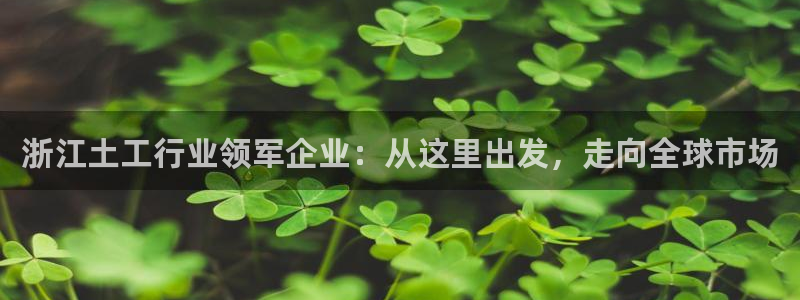云顶国际平台违法吗?