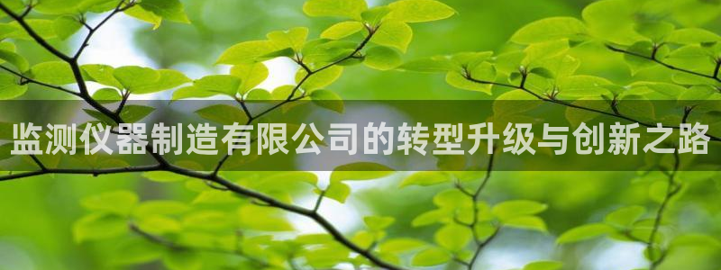 云顶国际是什么软件：监测仪器制造有限公司的转型升级与创新之路
