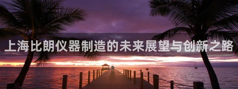 云顶国际提现不到账怎么办：上海比朗仪器制造的未来展望与创新之