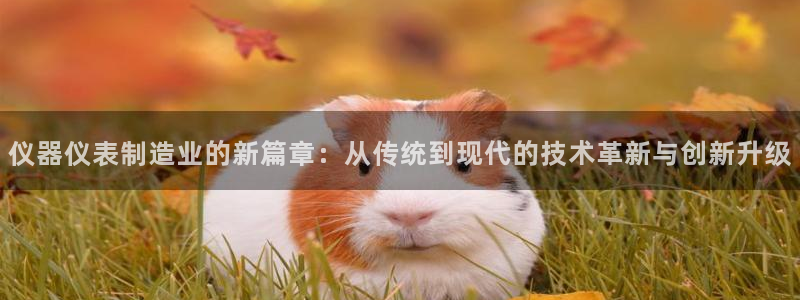 云顶集团3118官网下载：仪器仪表制造业的新篇章：从传统到现