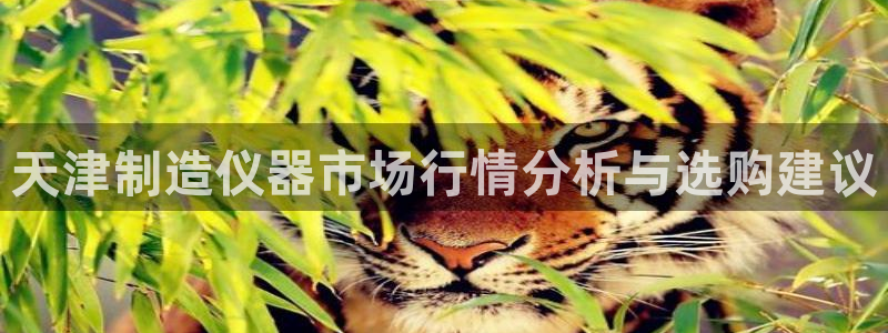 云顶国际区块链怎么样：天津制造仪器市场行情分析与选购建议