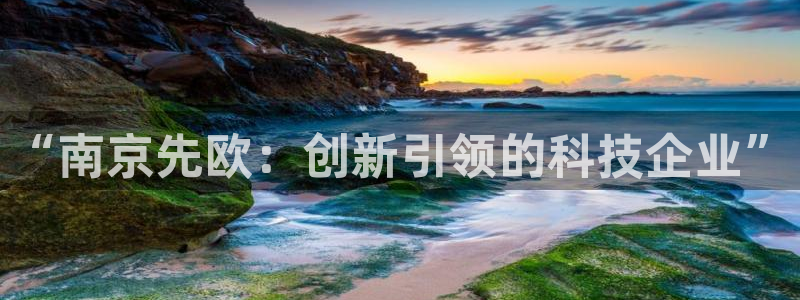 云顶国际饭店：“南京先欧：创新引领的科技企业”