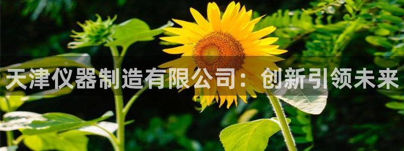 云顶国际培训中心官网：天津仪器制造有限公司：创新引领未来