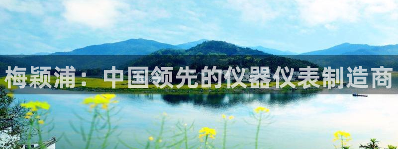 云顶网站是多少：梅颖浦：中国领先的仪器仪表制造商