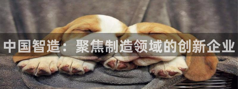 云顶平台网址：中国智造：聚焦制造领域的创新企业