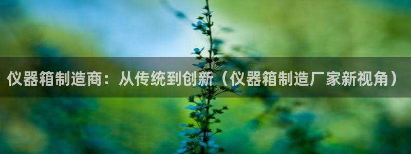 云顶国际是什么公司：仪器箱制造商：从传统到创新（仪器箱制造厂