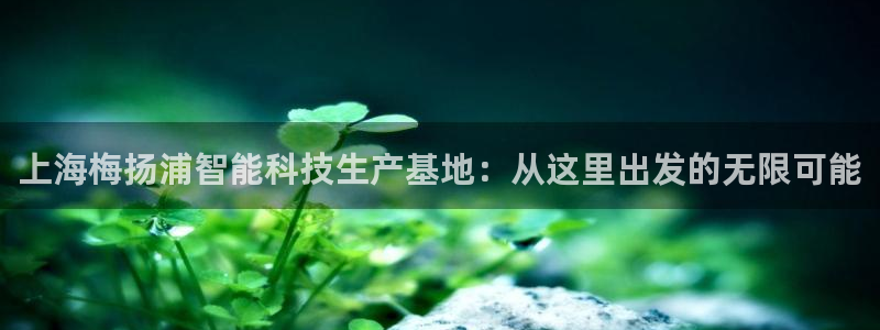 云顶国际商业广场停车收费标准：上海梅扬浦智能科技生产基地：从