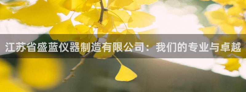 云顶国际二手房出售价格：江苏省盛蓝仪器制造有限公司：我们的专