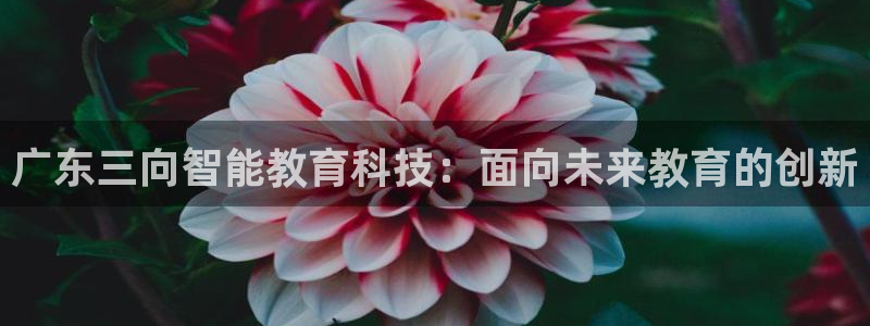 云顶国际教育：广东三向智能教育科技：面向未来教育的创新