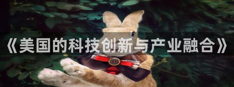 云顶国际服什么时候更新s10：《美国的科技创新与产业融合》