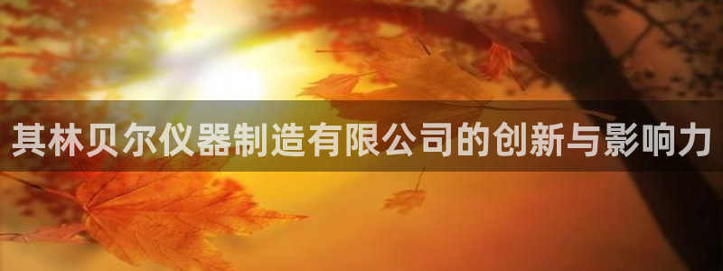 云顶电子游戏app：其林贝尔仪器制造有限公司的创新与影响力