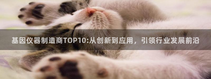 云顶国际服什么时候更新：基因仪器制造商TOP10:从创新到应