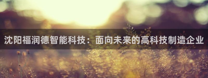 云顶集团有限公司,林东简历：沈阳福润德智能科技：面向未来的高