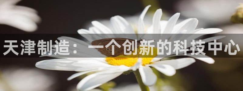 云顶集团游戏app：天津制造：一个创新的科技中心