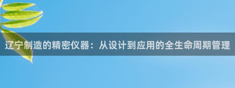 南昌云顶国际公馆是商品房吗：辽宁制造的精密仪器：从设计到应用