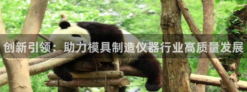 云顶集团电话：创新引领：助力模具制造仪器行业高质量发展