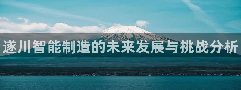 云顶国际部HKDSE：遂川智能制造的未来发展与挑战分析