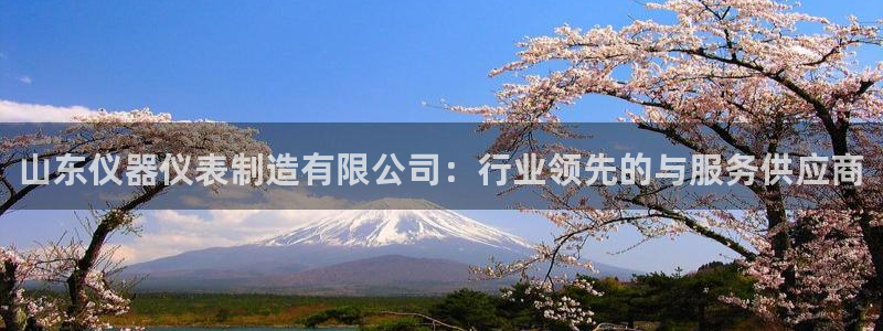 云顶国际游戏网址大全：山东仪器仪表制造有限公司：行业领先的与