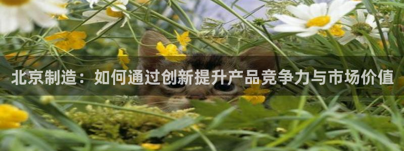 云顶国际提现：北京制造：如何通过创新提升产品竞争力与市场价值