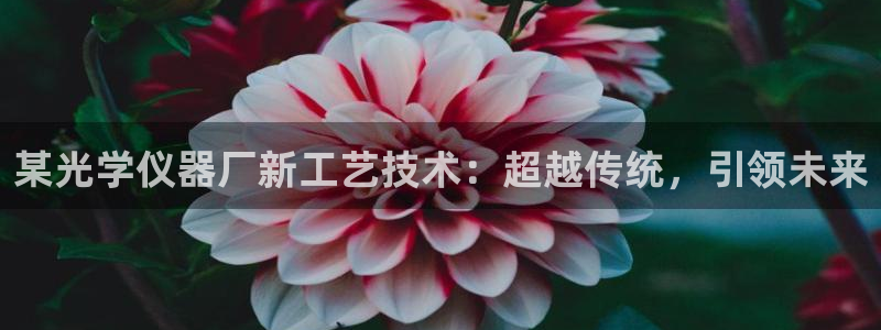 登录云顶集团的网站：某光学仪器厂新工艺技术：超越传统，引领未
