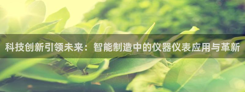 云顶集团app免费下载苹果：科技创新引领未来：智能制造中的仪