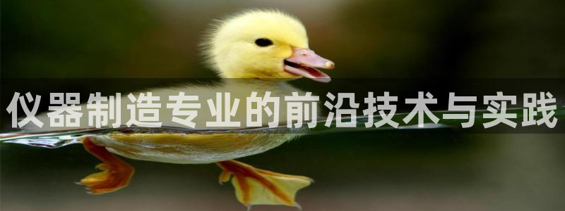 云顶国际大厦在哪里：仪器制造专业的前沿技术与实践