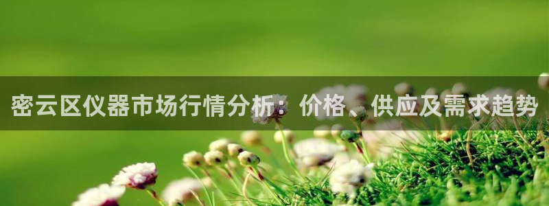 云顶国际服怎么下：密云区仪器市场行情分析：价格、供应及需求趋