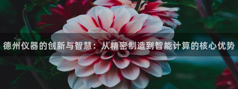 云顶国际官网唯一官方网站：德州仪器的创新与智慧：从精密制造到