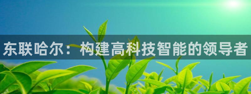 云顶国际游戏平台app：东联哈尔：构建高科技智能的领导者