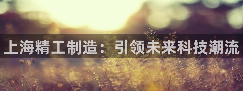 云顶集团3118acm登录入口：上海精工制造：引领未来科技潮