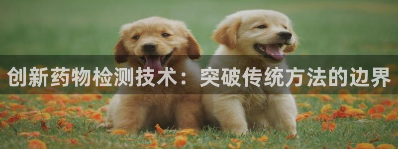 云顶国际期临沭在哪：创新药物检测技术：突破传统方法的边界