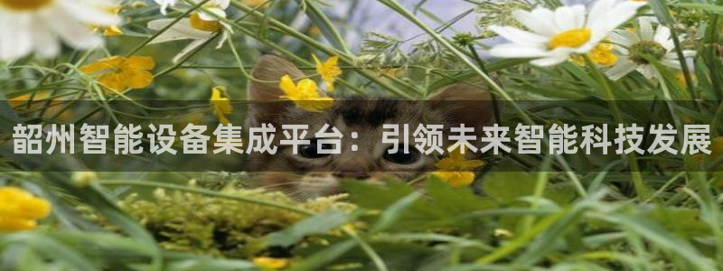 云顶国际是不是真的吗：韶州智能设备集成平台：引领未来智能科技