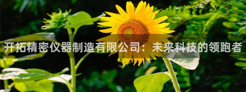 云顶国际服什么时候更新：开拓精密仪器制造有限公司：未来科技的