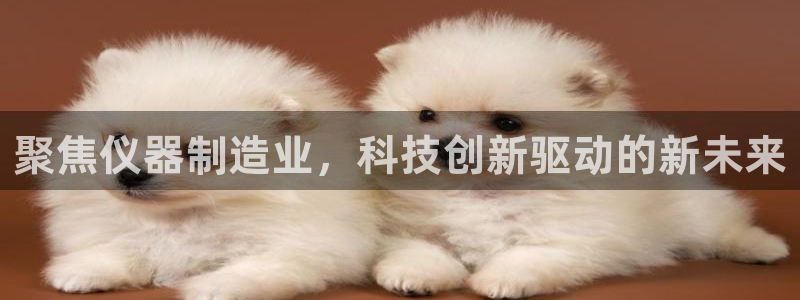 12311云顶线路检测：聚焦仪器制造业，科技创新驱动的新未来