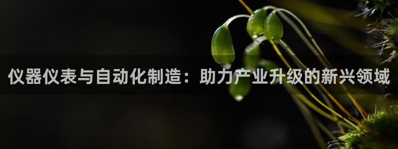 云顶国际麻将胡了几张牌：仪器仪表与自动化制造：助力产业升级的