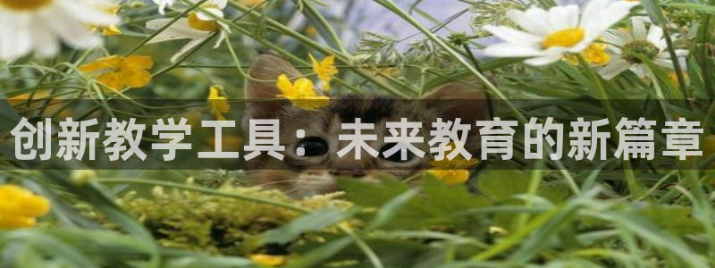 云顶国际yun588：创新教学工具：未来教育的新篇章