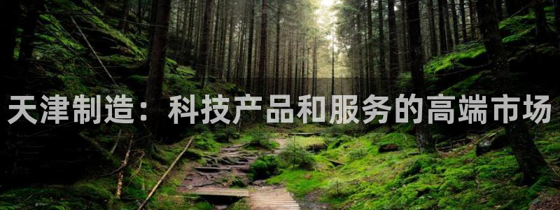 云顶国际宴会中心怎么样：天津制造：科技产品和服务的高端市场