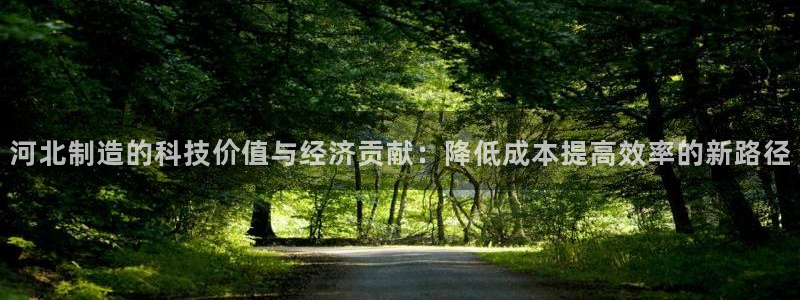 云顶国际KTV会所：河北制造的科技价值与经济贡献：降低成本提