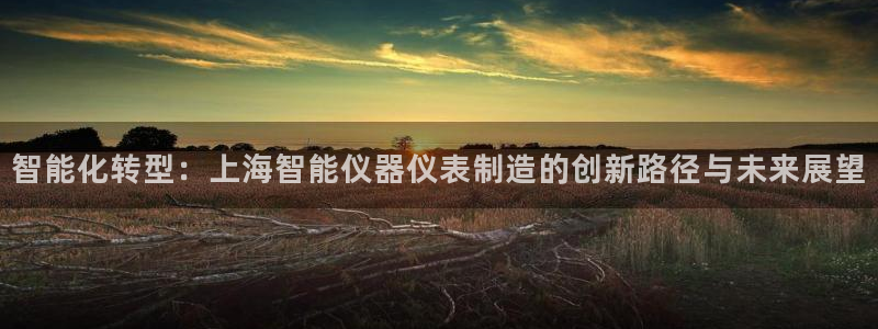云顶集团下载：智能化转型：上海智能仪器仪表制造的创新路径与未