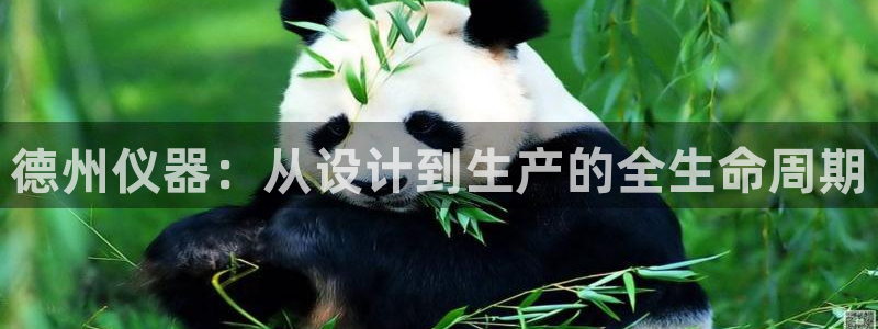 云顶集团3118app下载：德州仪器：从设计到生产的全生命周