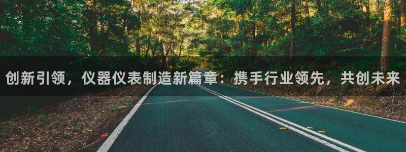 云顶国际大酒店是几星级：创新引领，仪器仪表制造新篇章：携手行